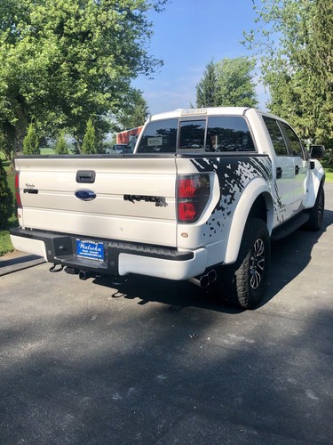 Vinyl Graphics Decal SPLASH Wrap Kit for 10-14 Ford F-150 Raptor SVT ...