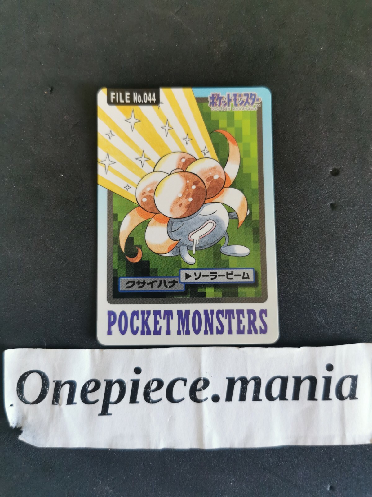 ポケットモンスター　1997年BANDAI FILE Pokemon Card Japanese File No. 044 Bandai 1997 Pocket