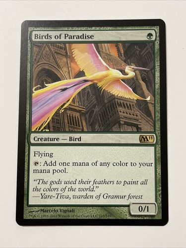 1x NM Birds of Paradise from M11 | eBay