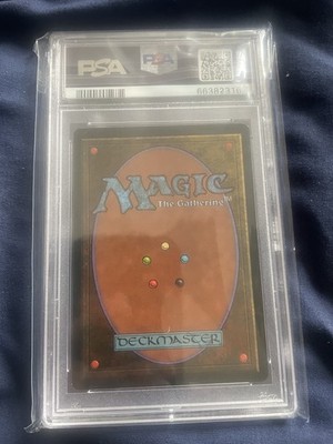 Foto dell'oggetto di un acquirente verificato