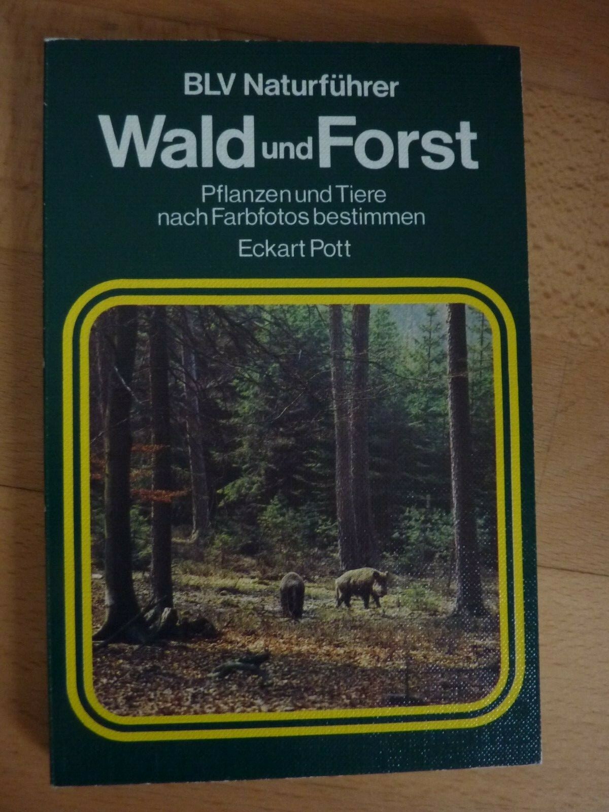 Wald und Forst - BLV-Naturführer