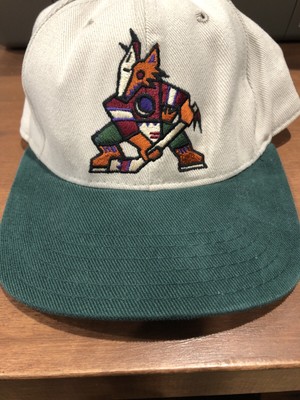 phoenix coyotes kachina hat