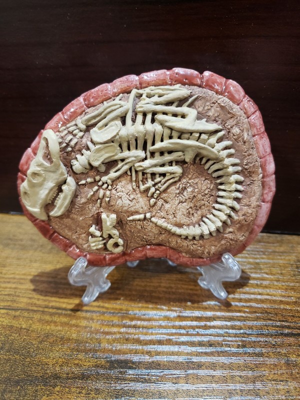 Protoceratops dinosaur fossil replica 4x3 1/2 inches