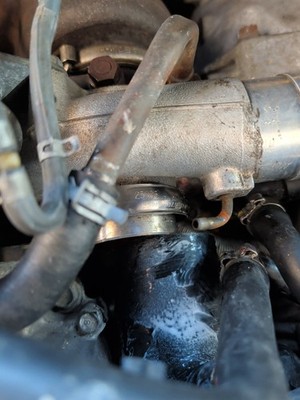 Fotos del artículo de un comprador verificado