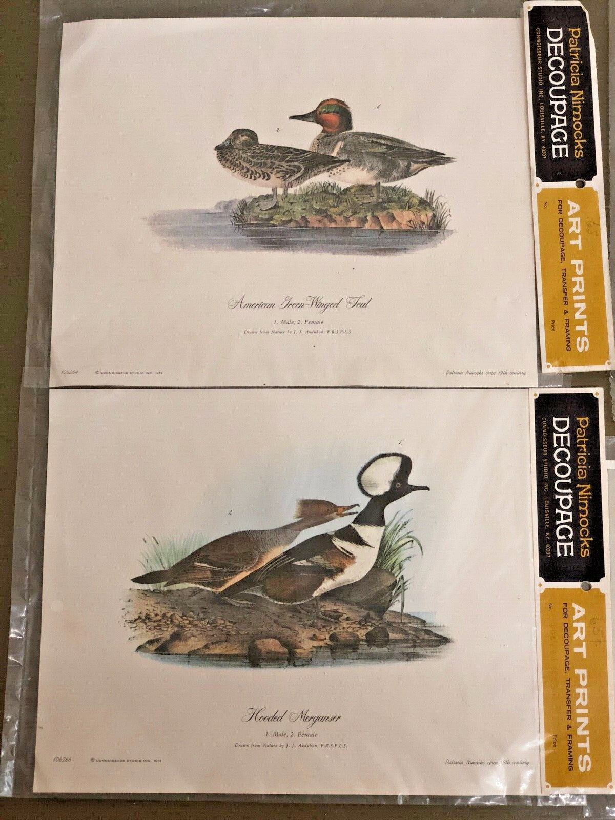 3 Patricia Nimocks Duck Birds Art Prints  Print Decoupage 1 Art Treasures Print