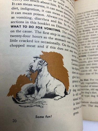 SERGEANT'S DOG BOOK 1950 GUIDE BOOK