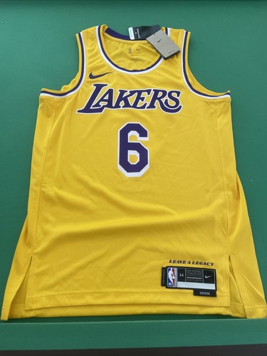 Nike Swingman Los Angeles Lakers LeBron James #6 Jersey Sz M