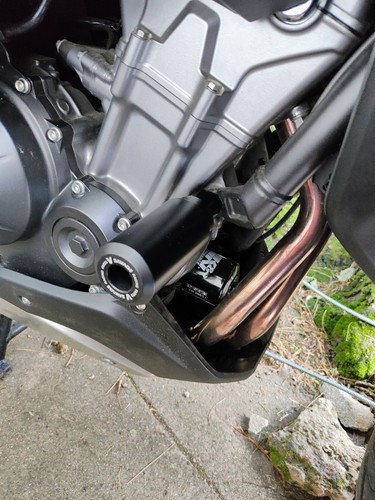 Artikelfoto(s) von einem verifizierten Käufer