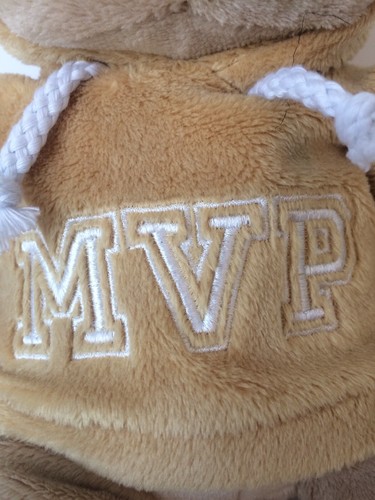 GANZ MVP HOODIE BEAR * Stuffed Plush Animal 8