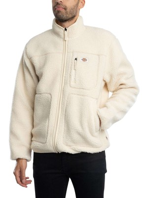 Мужская флисовая куртка Dickies Mount Hope, бежевый