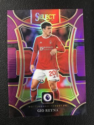 2022 PANINI PRIZM  ジョバンニ・レイナ

アメリカ代表 Giovanni Reyna 2022 Panini Prizm World Cup True Blue Prizm