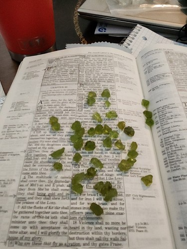 Fotos del artículo de un comprador verificado