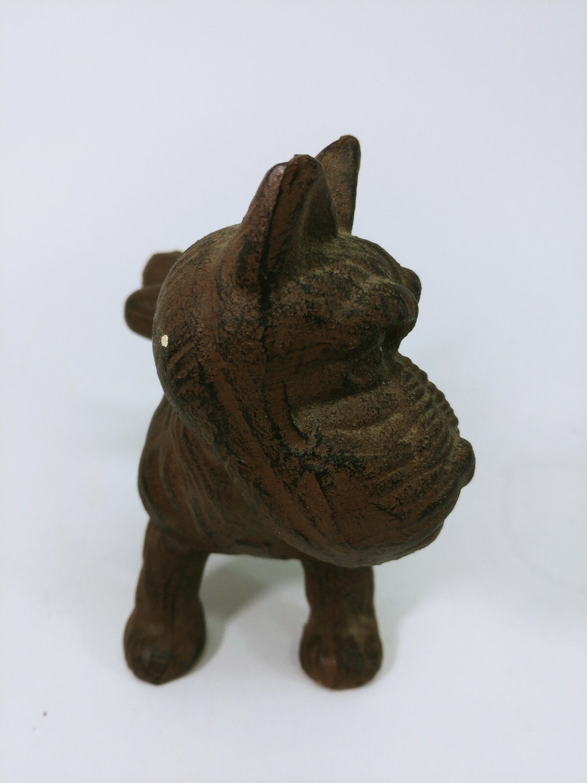 Porn tube Suck penis pics