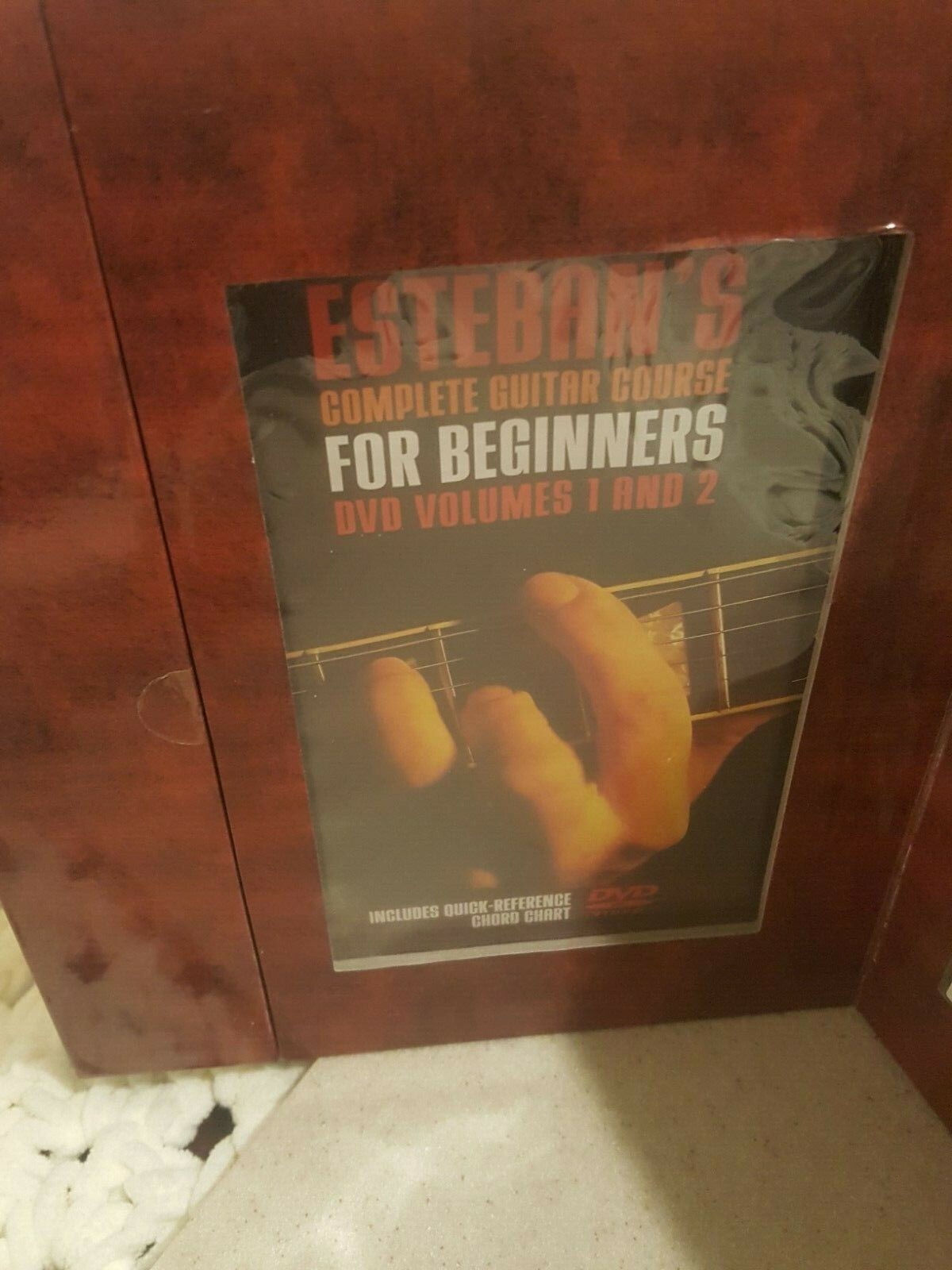 Esteban's Complete Guitar Course For Beginners -Incl. 2 DVD Discs & Course Book