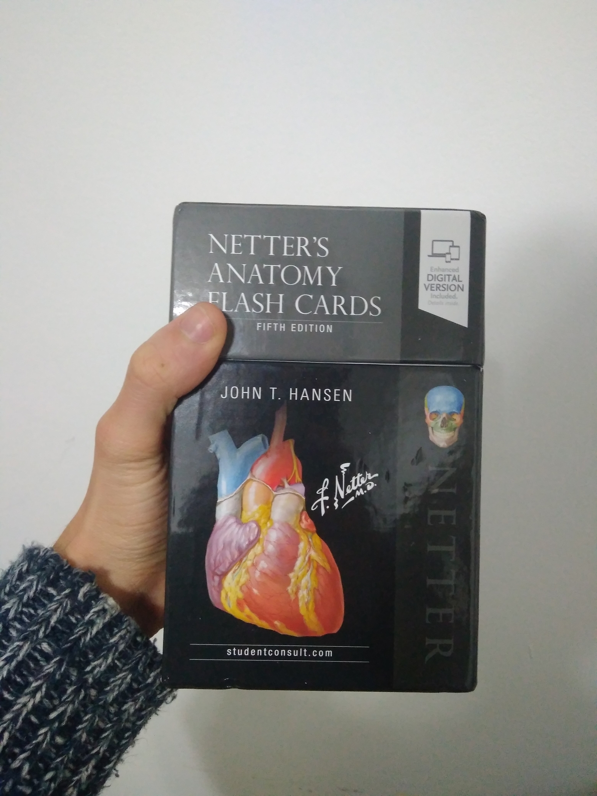 Netter's Anatomy Flash Cards 4th Edition 9780323185950 eBay