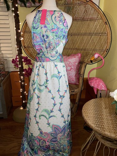 Pre-owned Lilly Pulitzer Tiera Maxi Dress Best Kept Secret ? Size M No Sash In Multicolor