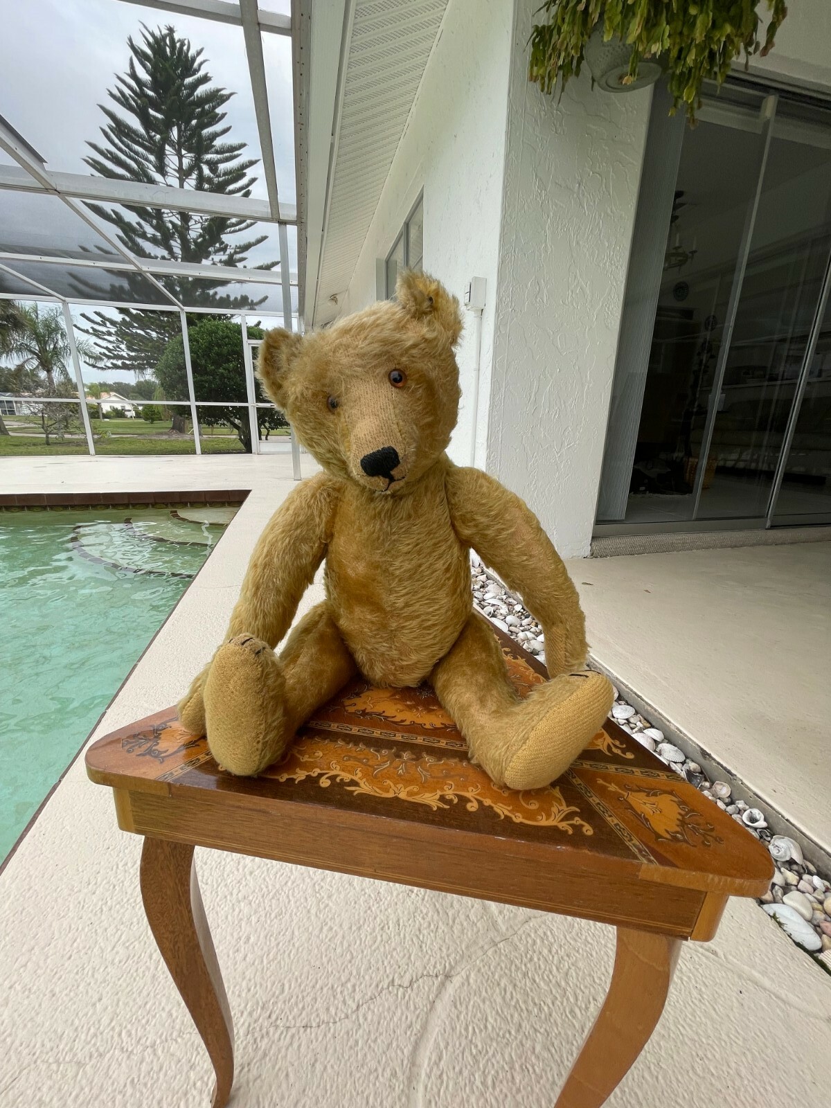 Original blonde Steiff teddy bear made between 1906-1920