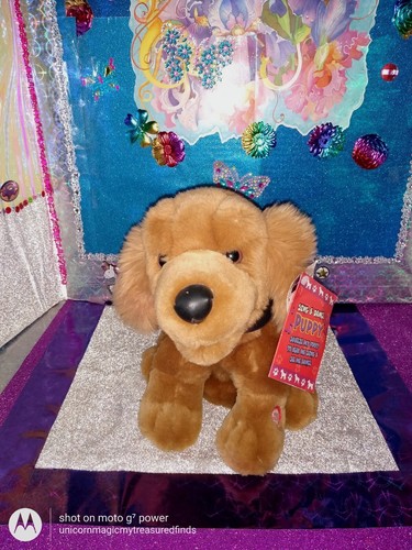 🦄T.L. Toys HK Ltd. / Sings & Dances Dog Brown Color Sitting