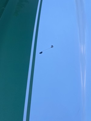 image 10 of exterior