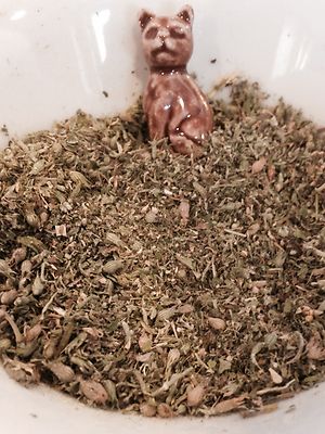 CATNIP FRESH ''2024'' CROP 1 OUNCE TO 1 LBS FREE USA SHIPPING C/S AND FINE CUT