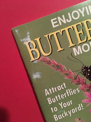 Enjoying Butterflies More ~ Backyard Paperback Book Booklet by Glassberg ~ New