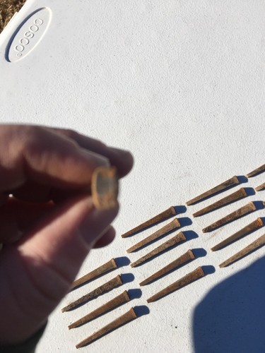 20 Vintage Forged Iron Nails Period Nails Hardware Early Nail