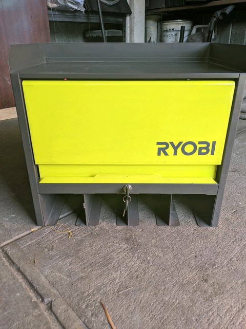 ryobi hanging wall storage unit