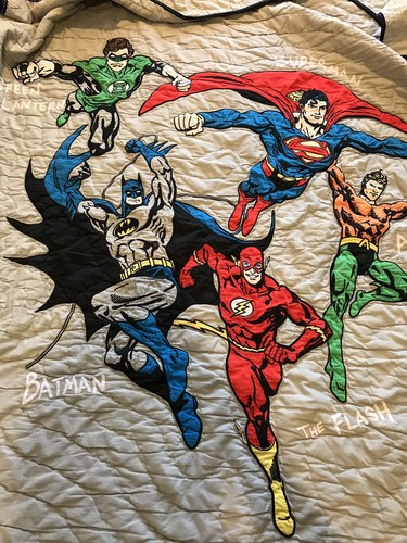 Pottery barn kids Dc Comic Lot Quilt Twin Superhero Pillow Cases Canvas Prints
