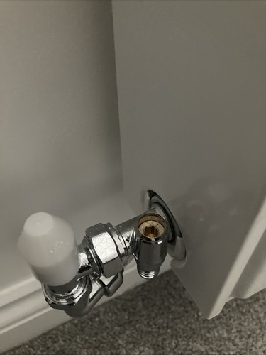 Fotos del artículo de un comprador verificado