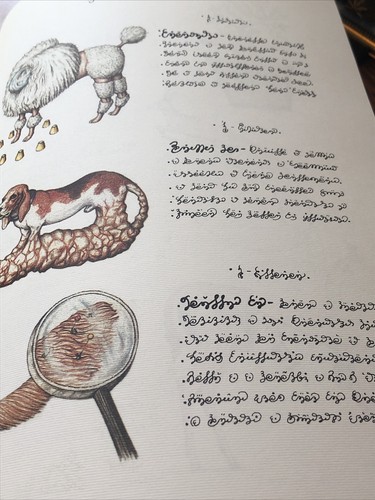 洋書 Codex Seraphinianus by Luigi Serafini 51sbXBbi3CL.jpg_BO30,255,255,