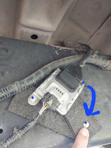 Foto dell'oggetto di un acquirente verificato