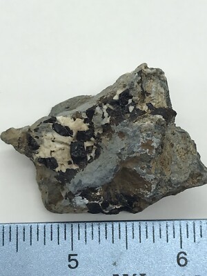 Benitoite gem Mine neptunite CRYSTAL SAN BENITO COUNTY CALIFORNIA Nice Specimen!