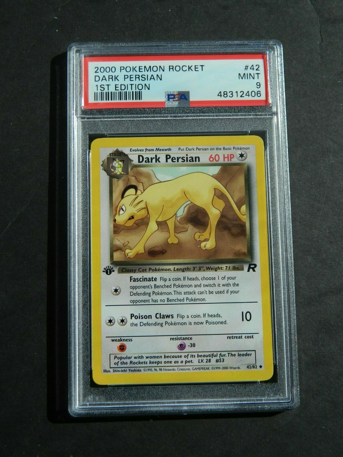 PSA9 ベジット　H7-40 $_57.JPG?set_id=8800005007
