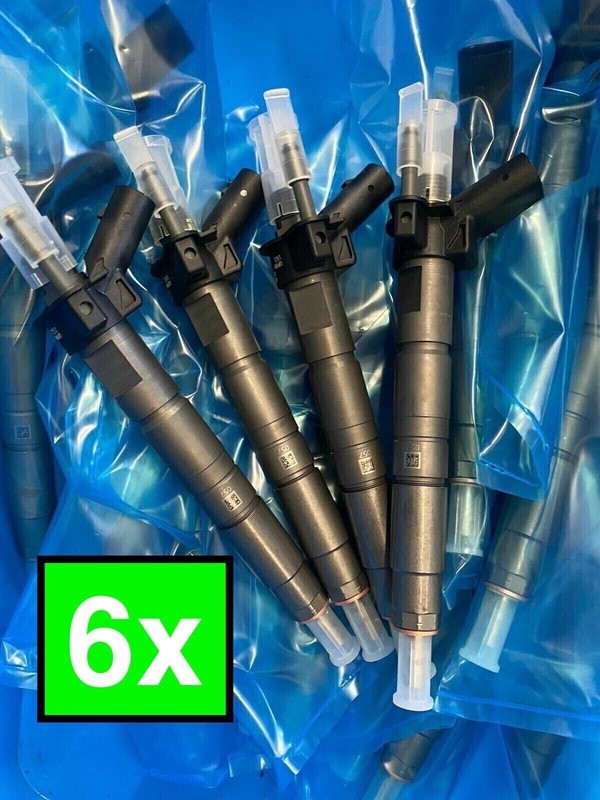 6x EinspritzdÃ¼Sen Bmw 0445117017 0445117001 13537805430 Injektor 7805430