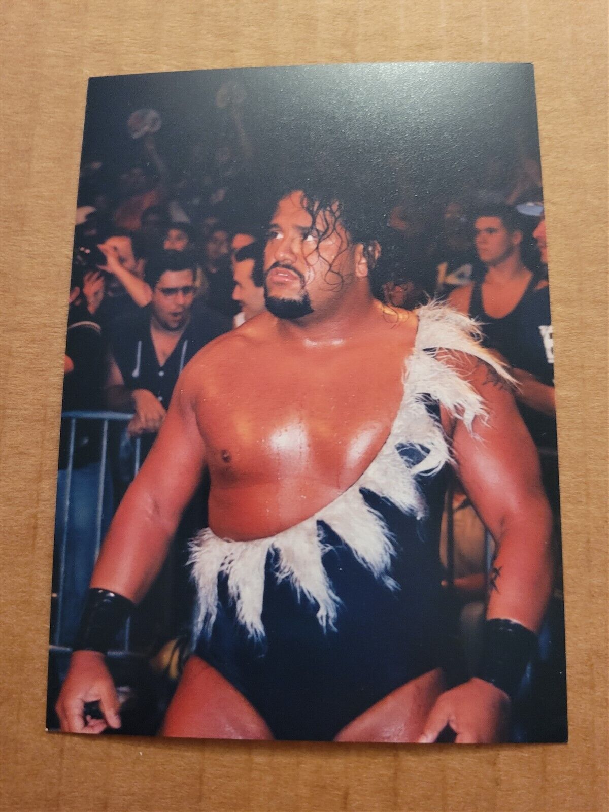 ECWプロレスカード TAZ タズ