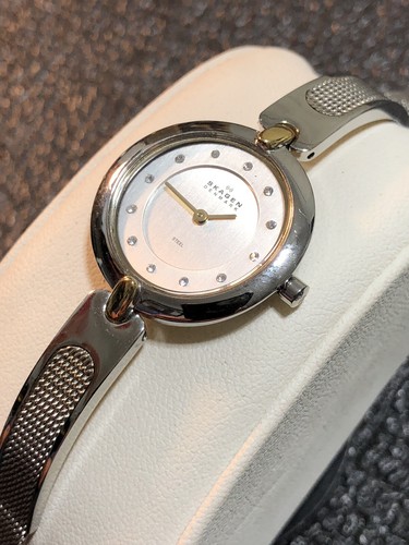 SKAGEN Denmark Women's Watch thin Silver Tone Stainless