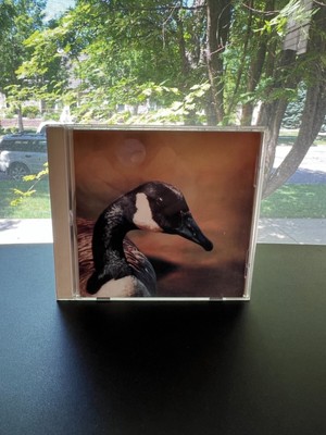 Doldrums    Secret Life Of Machines VHF Records vhf#21 1995 Post Rock