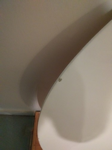 Zap Skimers Skimboard 39x21