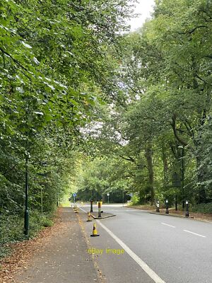 Photo 6x4 Road through Stivichall Common  c2021