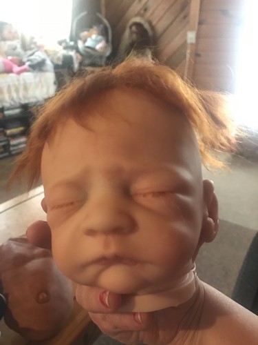 Reborn. Lot  Head Body Plate Best Offer