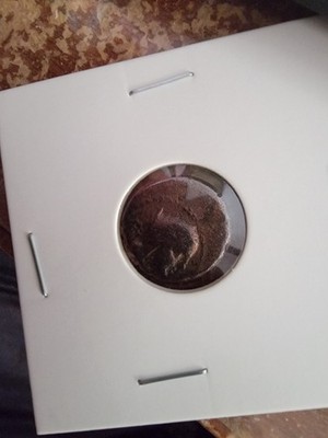 Photos de l'objet d'un acheteur vérifié