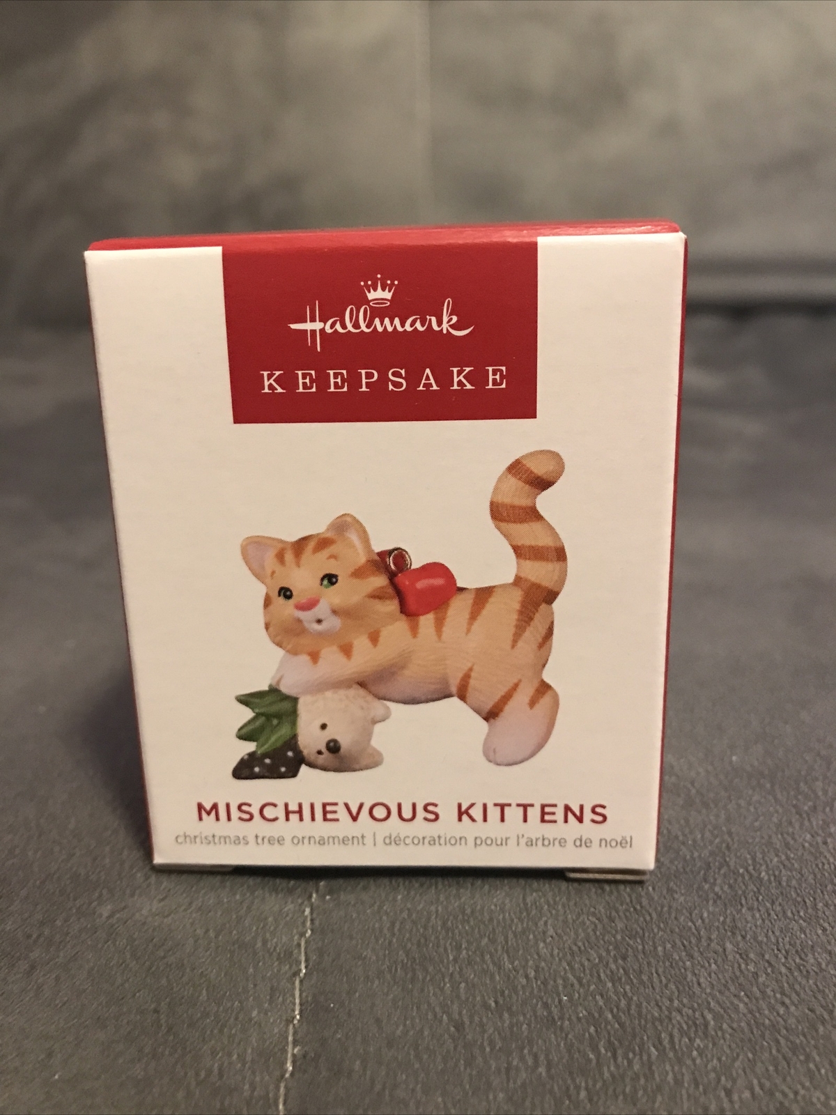 Mischievous kitty. Mischievous kitty