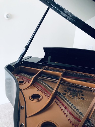 Knabe Grand Piano KN500 Player MINT Michigan Black