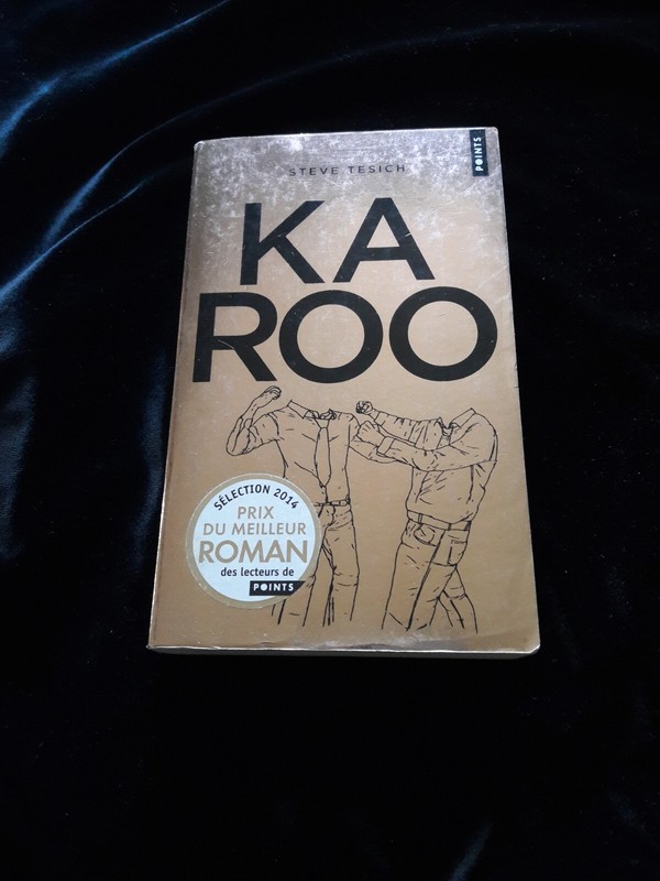 Karoo Steve Tesich Litterature/Usa/Serbie 820