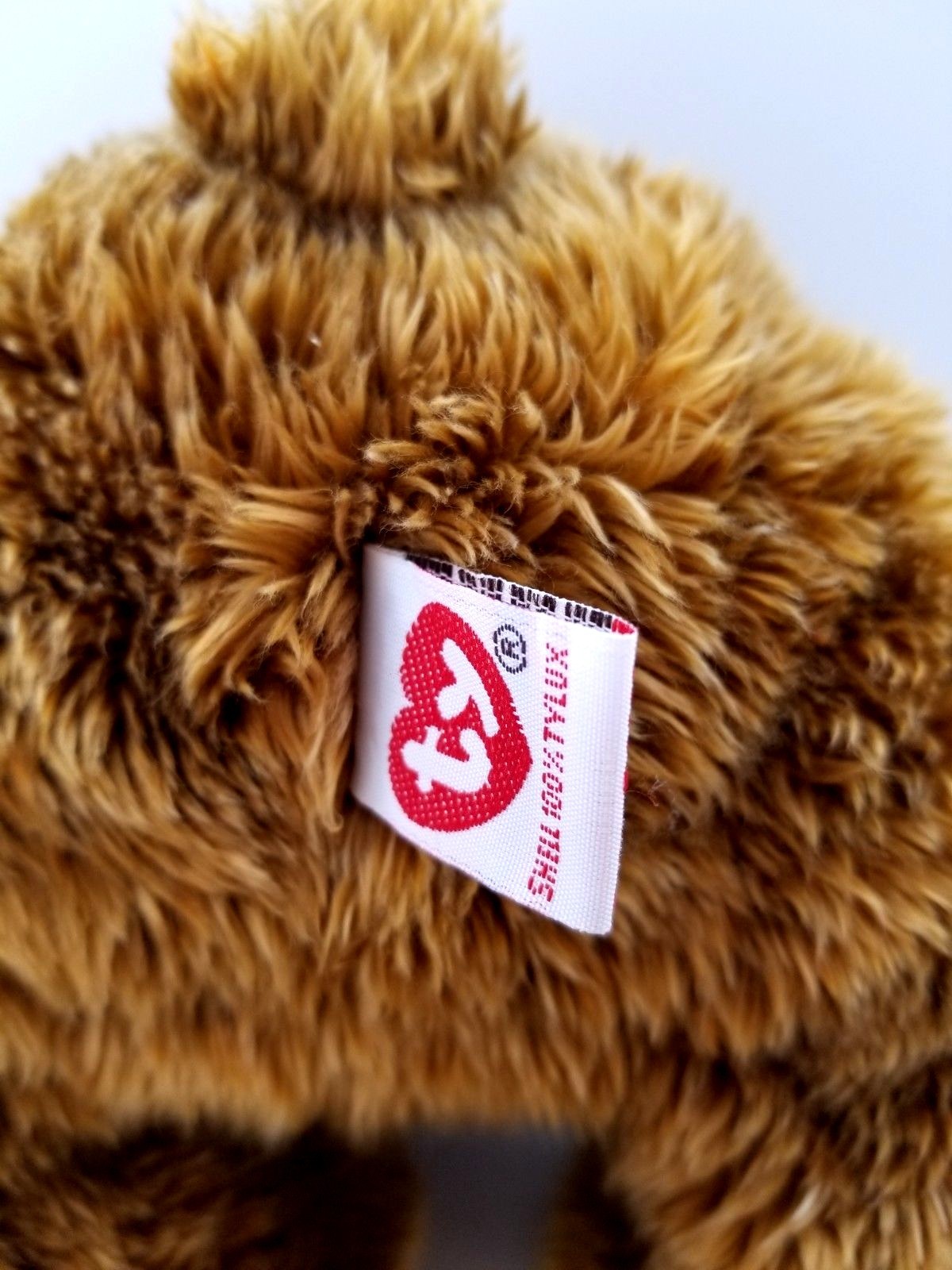 Teenie Beanie Babies Classic 2003 Brown Teddy Bear GRIDDLES Stuffed Plush TY Toy