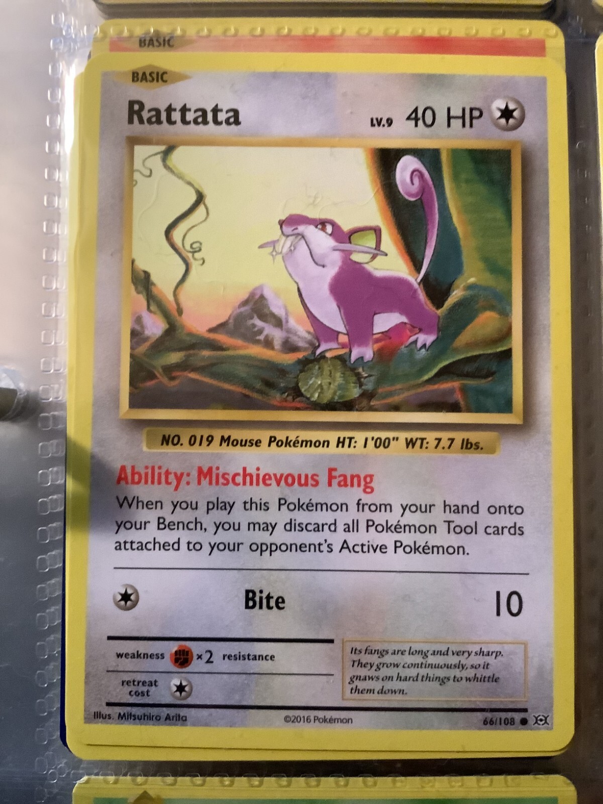 Rattata 66/108 XY Evolutions Pokemon TCG Card NM | eBay