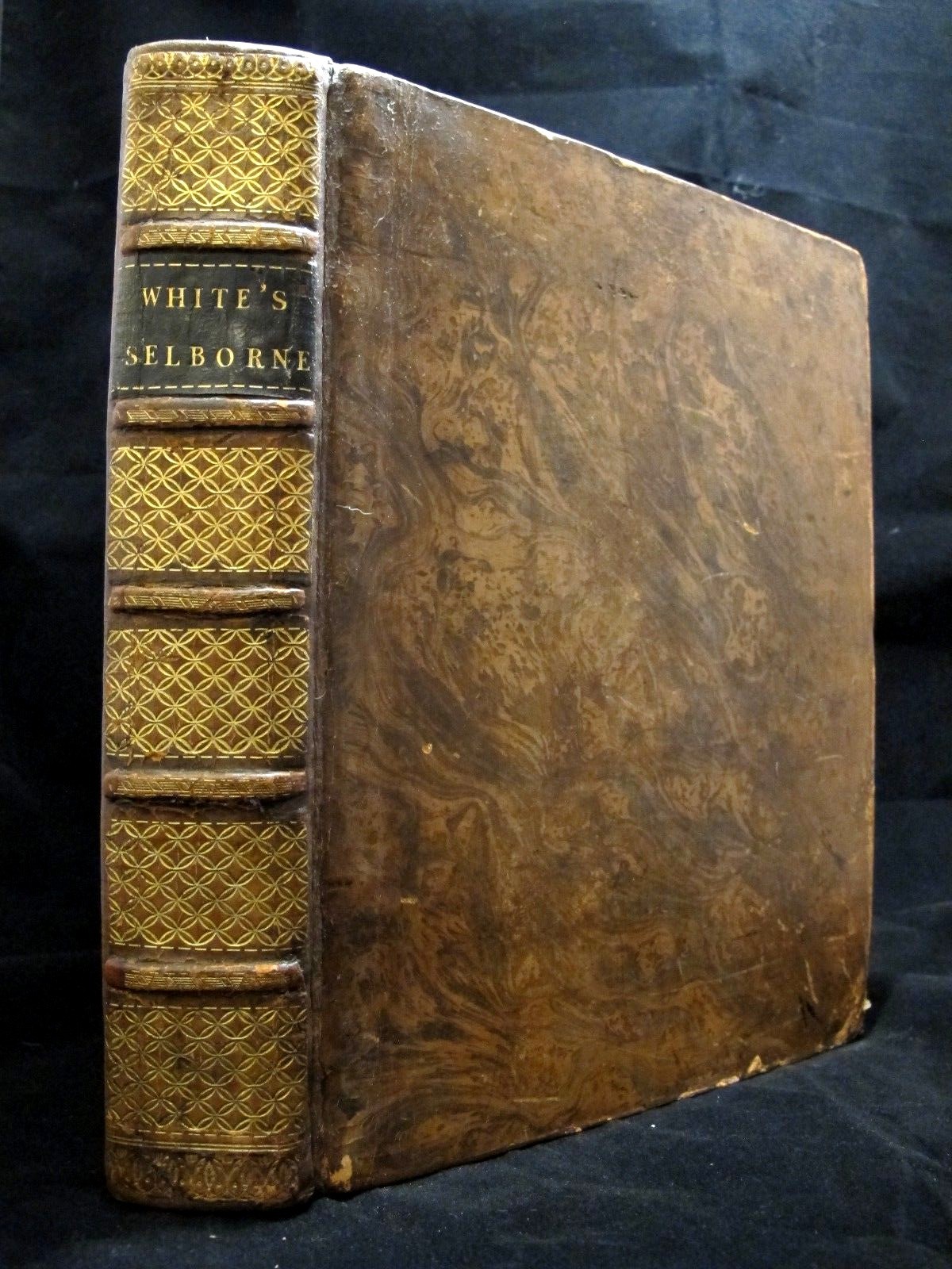 貴重　洋書小型　TheNATURAL HISTORYOF SELBORNE $_57.JPG?set_id=8800005007
