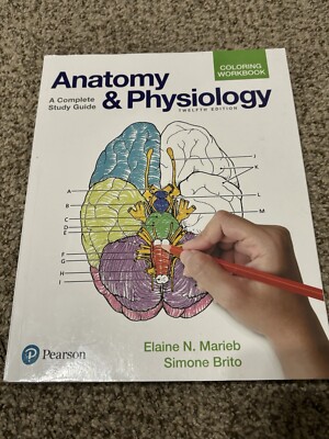 Anatomy & Physiology coloring book