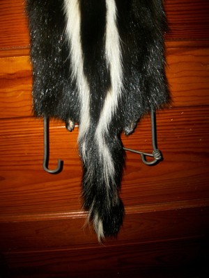 BEAUTIFUL tanned SKUNK 4 FEET CLAWS FUR PELT TAXIDERMY mount NO SMELL S6 CABIN