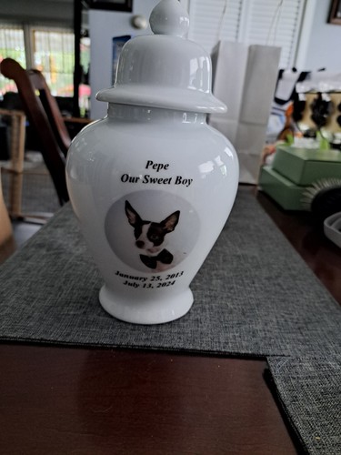 Foto dell'oggetto di un acquirente verificato